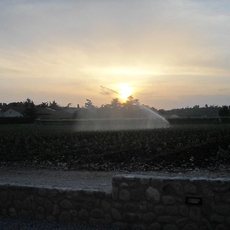 Agriturismo Le Campagnole باردولينو المظهر الخارجي الصورة