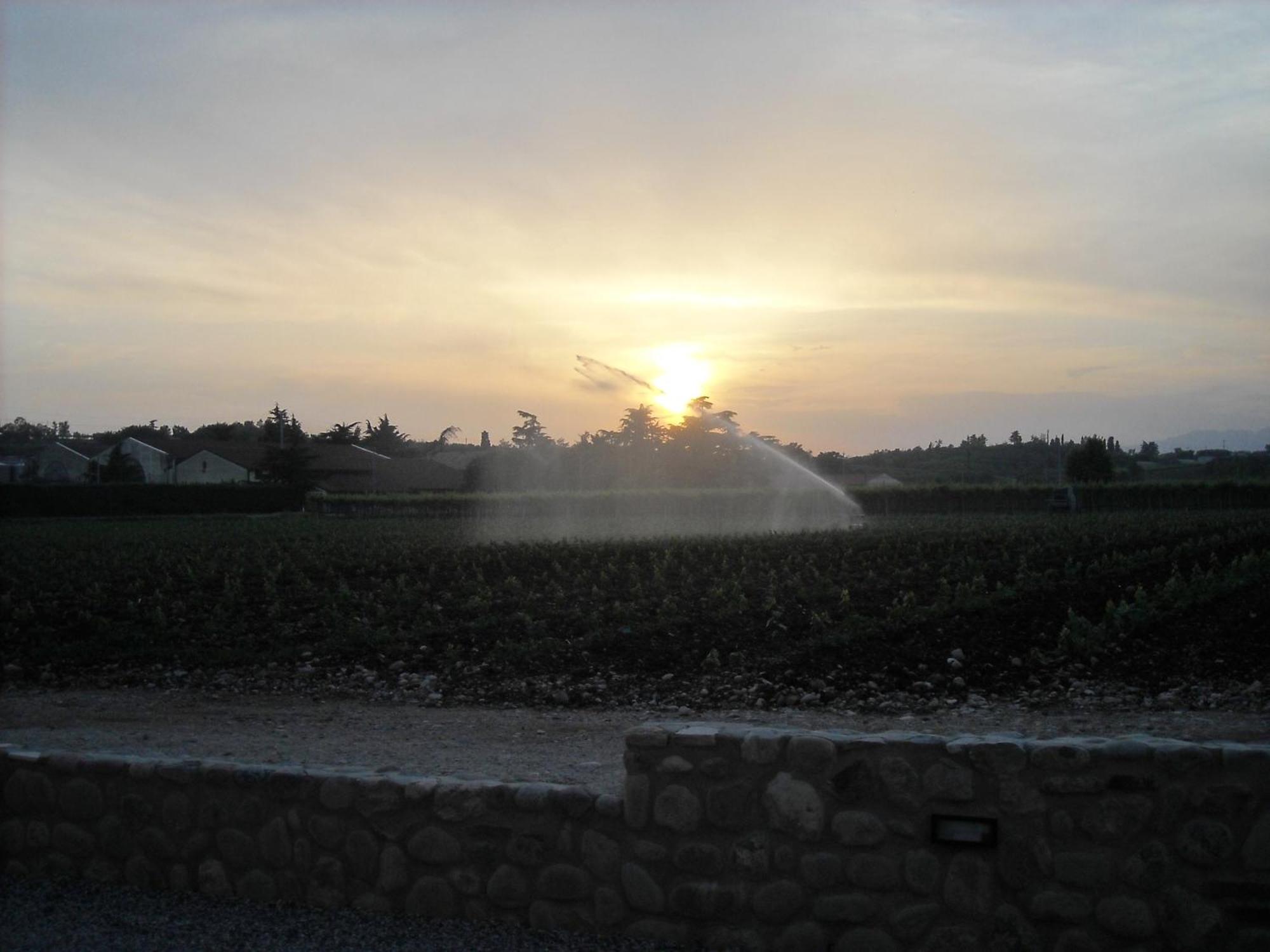 Agriturismo Le Campagnole باردولينو المظهر الخارجي الصورة